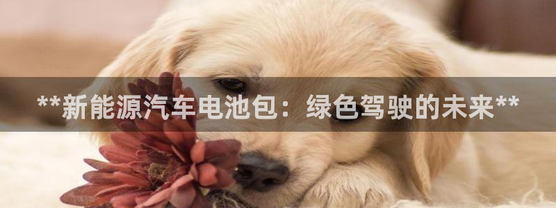 优发国际这个平台怎么样啊