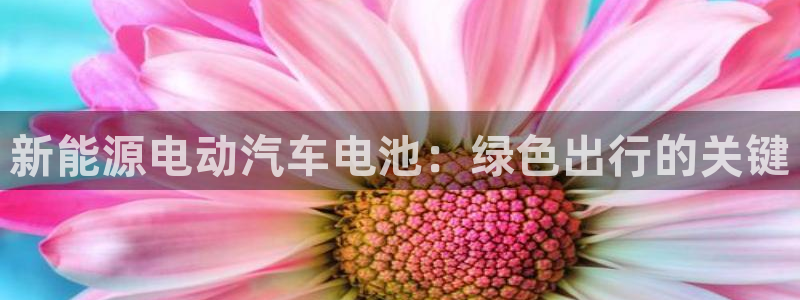 优发国际合并到哪里了啊