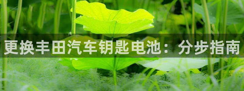 优发国际-触即发