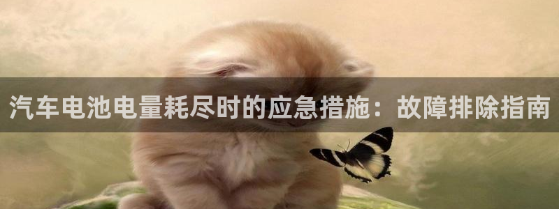 优发国际VIP网址