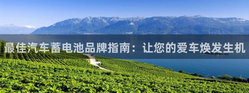 优发国际平台app下载官网