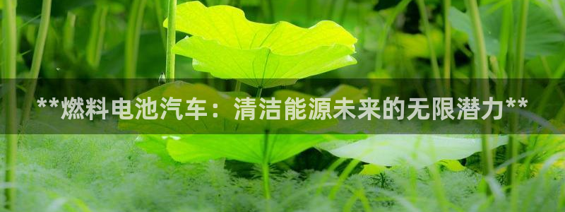 优发国际官网入口app下载苹果