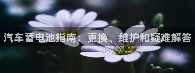 优发国际官网网站入口
