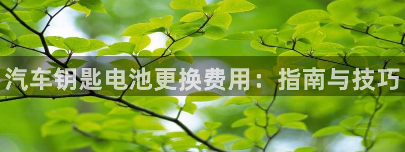 优发国际是大平台吗还是小平