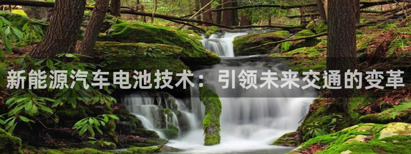 优发国际手机客户端下载安装苹果