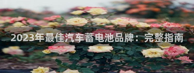 优发国际集团股份有限公司是国企吗