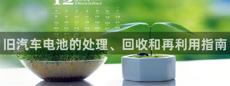 优发国际集团股份有限公司