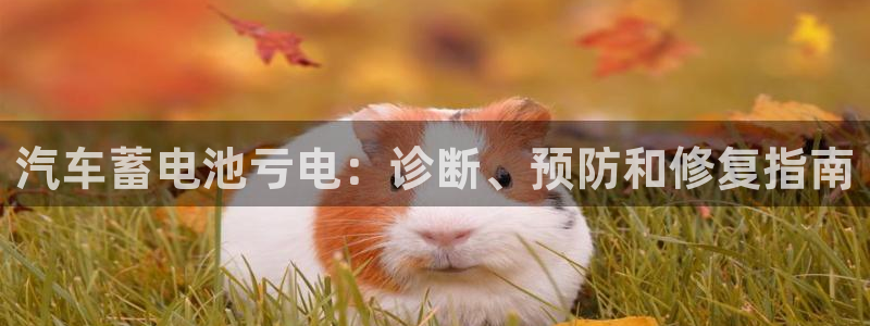 优发国际登陆