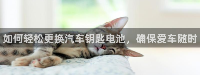 优发国际官网手机版下载