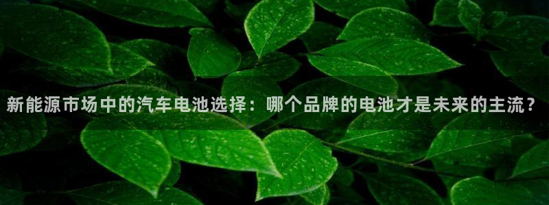 优发国际手机客户端app