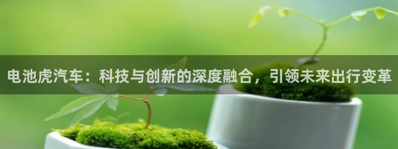 优发国际平台u8是什么公司