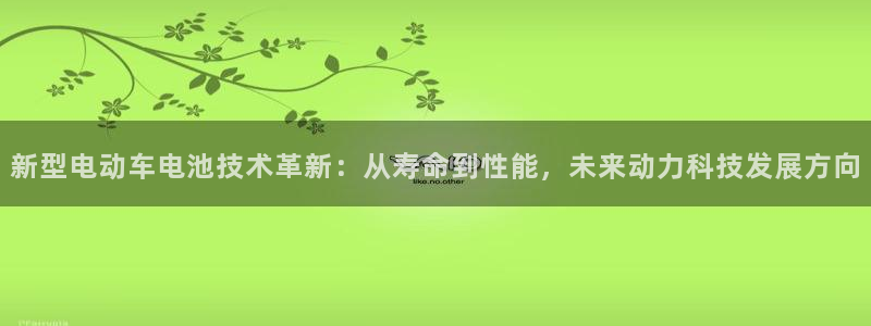 优发国际官网手机版app：新型电动车电池技术革新：从寿命到性能，未来动力科技发展方向