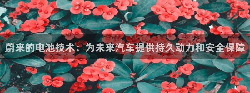 优发国际登陆u