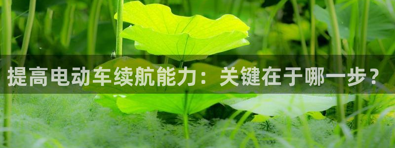 优发国际集团股份有限公司是国企吗
