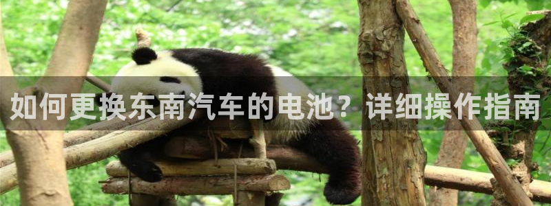 优发国际app官网下载安装苹果：如何更换东南汽车的电池？详细操作指南