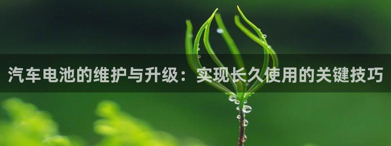 优发国际youfa
