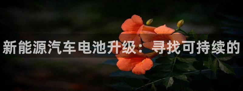 优发国际安卓版下载安装：新能源汽车电池升级：寻找可持续的