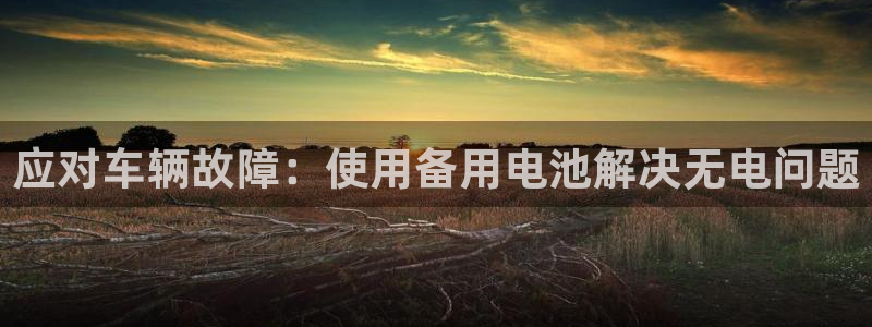优发国际官网qy88：应对车辆故障：使用备用电池解决无电问题