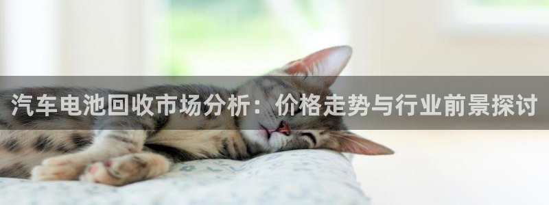 优发国际官方网平台：汽车电池回收市场分析：价格走势与行业前景探讨