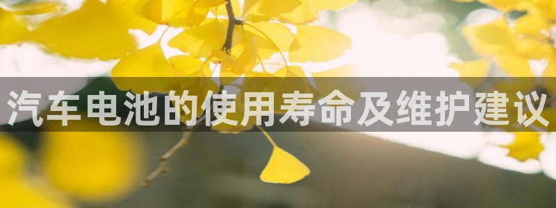优发国际平台g8