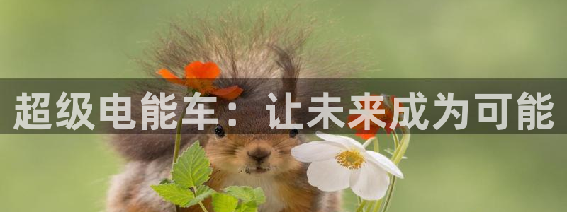 优发国际的网站是