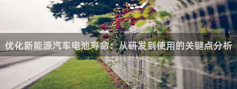 优发国际客服联系方式：优化新能源汽车电池寿命：从研发到使用的关键点分析
