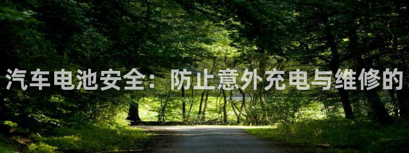 优发国际官网下载安装手机版：汽车电池安全：防止意外充电与维修的