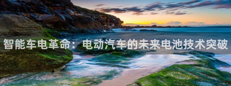 优发国际的官网是：智能车电革命：电动汽车的未来电池技术突破