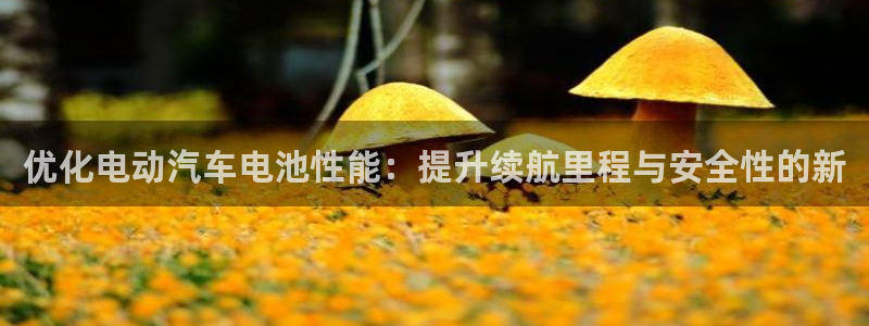 优发国际的网站是：优化电动汽车电池性能：提升续航里程与安全性的新