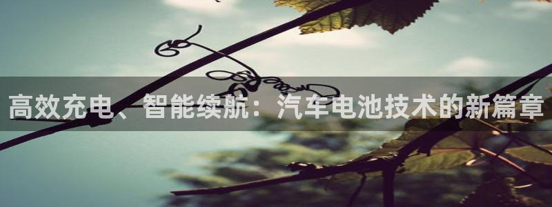 优发国际官网下载安装手机版：高效充电、智能续航：汽车电池技术的新篇章