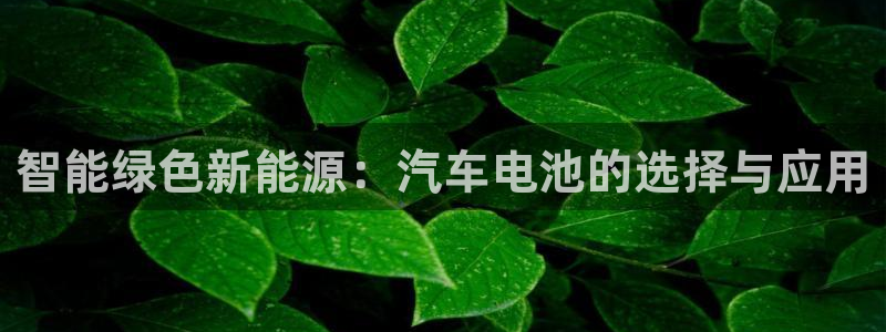 优发娱乐pc版官网
