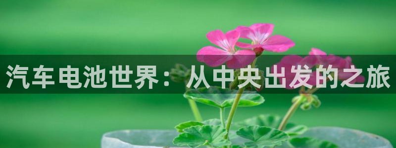 优发国际平台网站：汽车电池世界：从中央出发的之旅