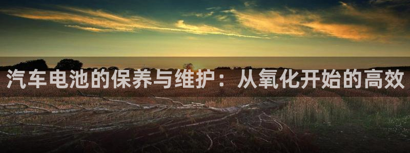 优发国际登录l8：汽车电池的保养与维护：从氧化开始的高效