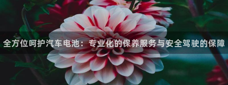 优发国际手机版下载官网：全方位呵护汽车电池：专业化的保养服务与安全驾驶的保障