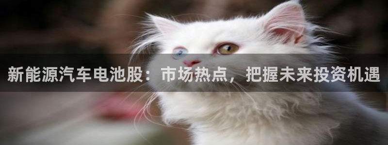 优发国际手机版唯一官网是什么：新能源汽车电池股：市场热点，把握未来投资机遇