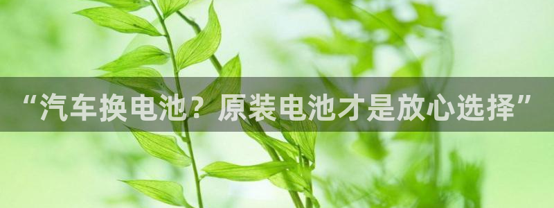 优发国际多少钱：“汽车换电池？原装电池才是放心选择”