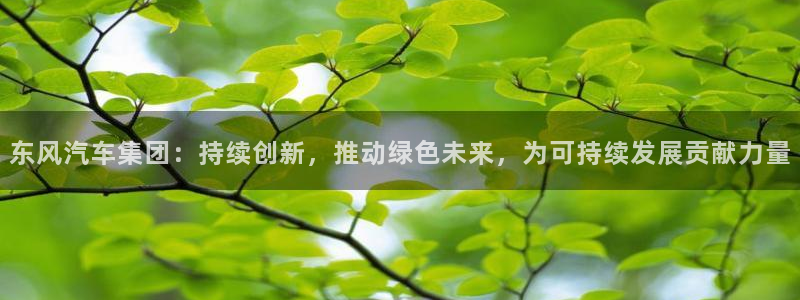 优发国际手机版：东风汽车集团：持续创新，推动绿色未来，为可持续发展贡献力量