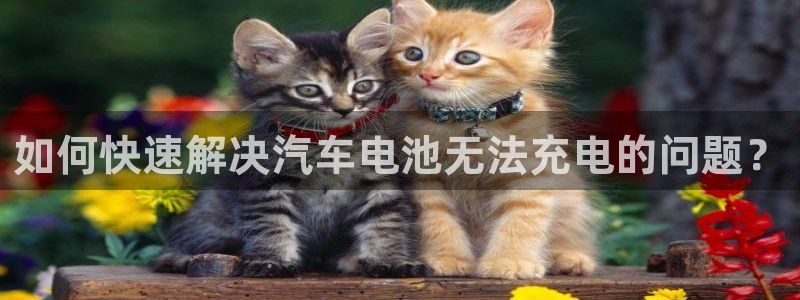 优发国际官方网手机版入口：如何快速解决汽车电池无法充电的问题？