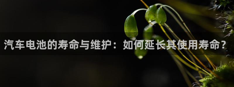 优发国际网官网17o8