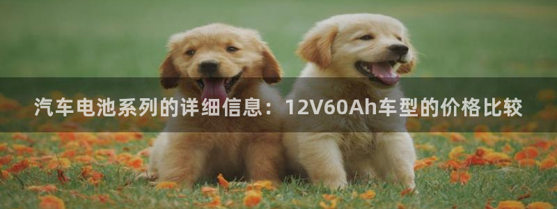 优发国际随优而动一触即发：汽车电池系列的详细信息：12V60Ah车型的价格比较