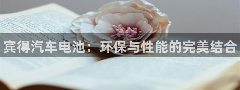 优发国际游戏官网：宾得汽车电池：环保与性能的完美结合