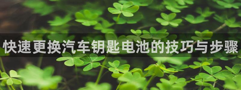 优发国际怎么样