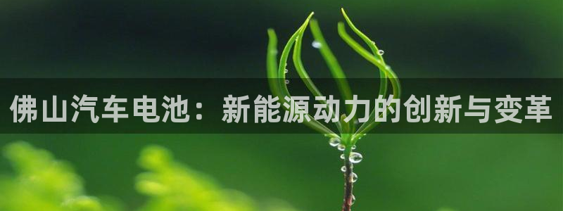 优发国际集团股份有限公司官网