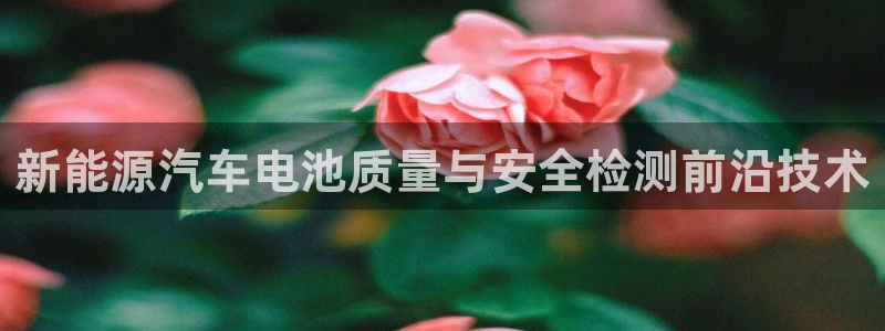 优发国际官网值是多少：新能源汽车电池质量与安全检测前沿技术