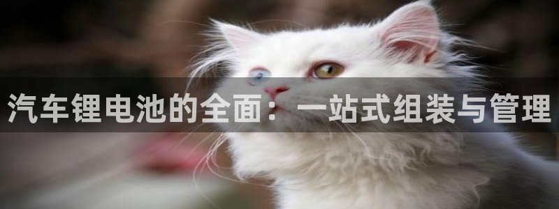 优发国际官网下载安装app