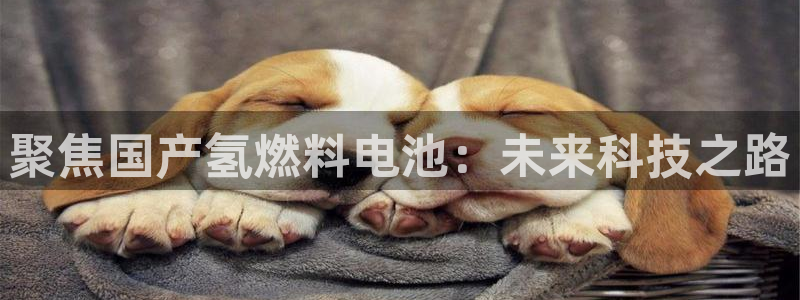 优发国际手机版