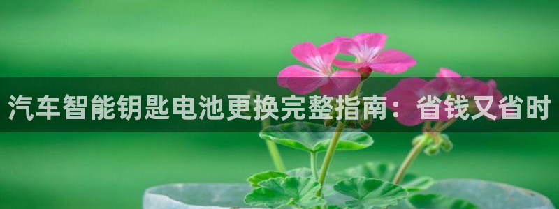 优发国际这个平台怎么样啊