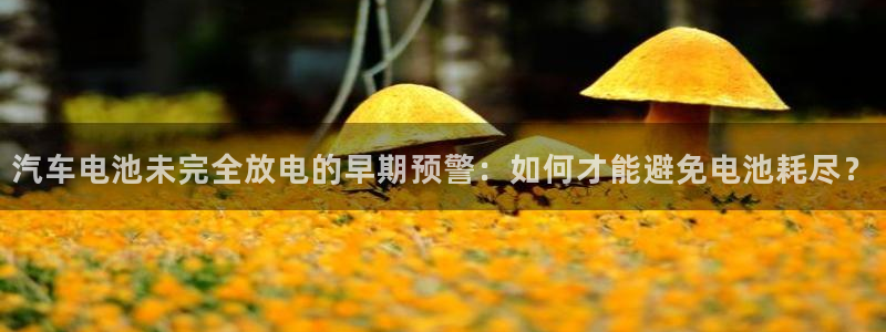 优发国际游戏官方网站：汽车电池未完全放电的早期预警：如何才能避免电池耗尽？