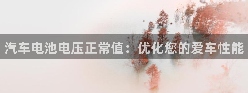 优发国际平台app下载