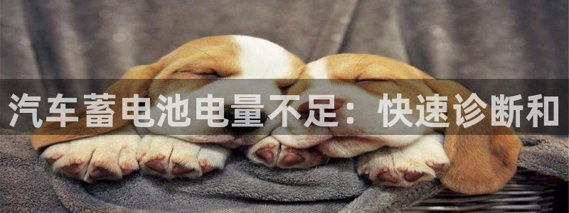 优发国际登录首页怎么设置